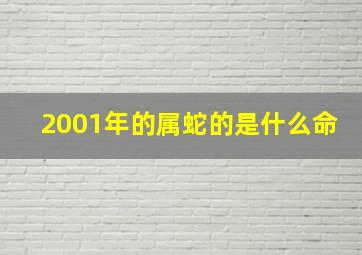 2001年的属蛇的是什么命