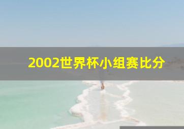 2002世界杯小组赛比分