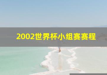 2002世界杯小组赛赛程