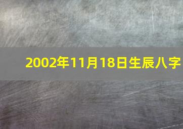 2002年11月18日生辰八字