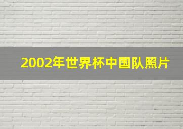 2002年世界杯中国队照片