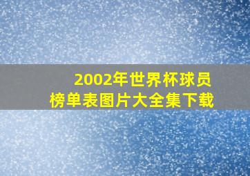 2002年世界杯球员榜单表图片大全集下载