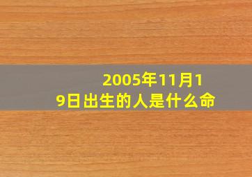 2005年11月19日出生的人是什么命