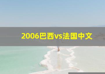 2006巴西vs法国中文