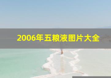 2006年五粮液图片大全