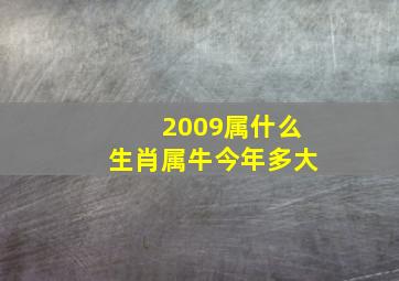 2009属什么生肖属牛今年多大