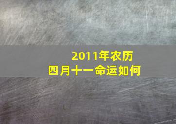 2011年农历四月十一命运如何