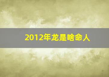 2012年龙是啥命人