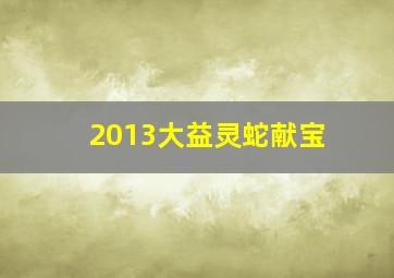 2013大益灵蛇献宝