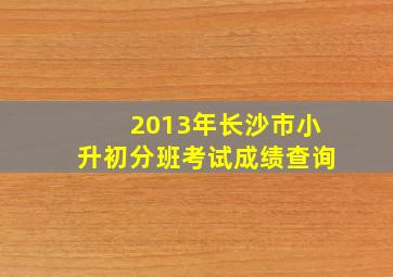 2013年长沙市小升初分班考试成绩查询