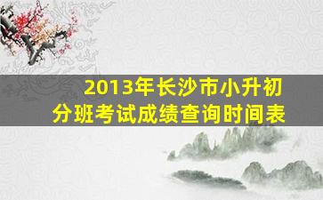 2013年长沙市小升初分班考试成绩查询时间表