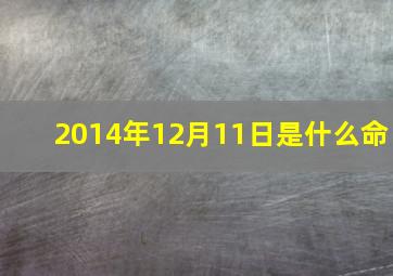 2014年12月11日是什么命