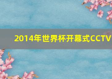 2014年世界杯开幕式CCTV5