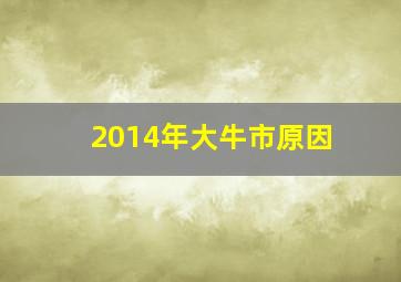 2014年大牛市原因