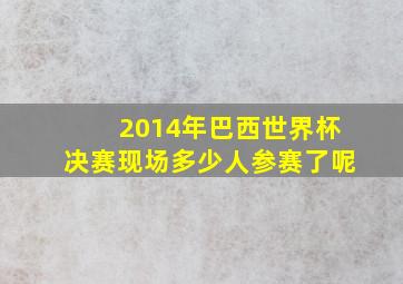 2014年巴西世界杯决赛现场多少人参赛了呢