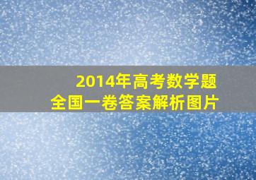 2014年高考数学题全国一卷答案解析图片