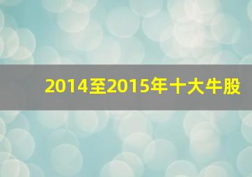 2014至2015年十大牛股