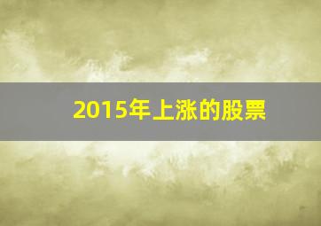 2015年上涨的股票