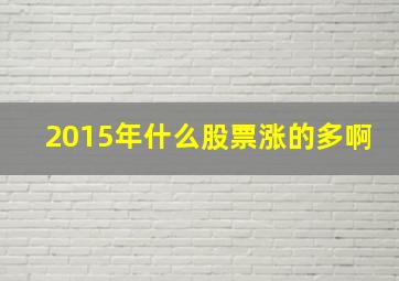 2015年什么股票涨的多啊