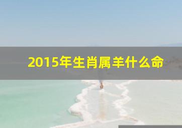 2015年生肖属羊什么命