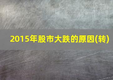 2015年股市大跌的原因(转)