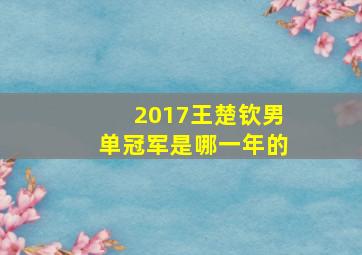 2017王楚钦男单冠军是哪一年的