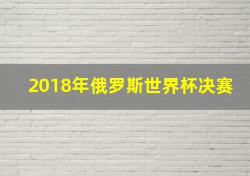 2018年俄罗斯世界杯决赛