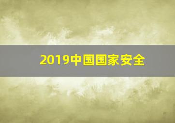 2019中国国家安全