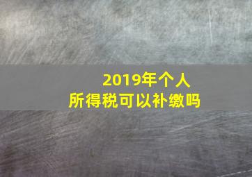 2019年个人所得税可以补缴吗