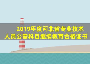 2019年度河北省专业技术人员公需科目继续教育合格证书