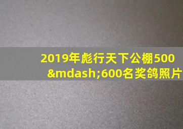 2019年彪行天下公棚500—600名奖鸽照片