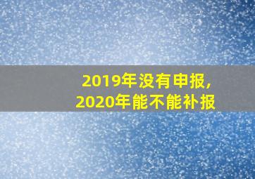 2019年没有申报,2020年能不能补报