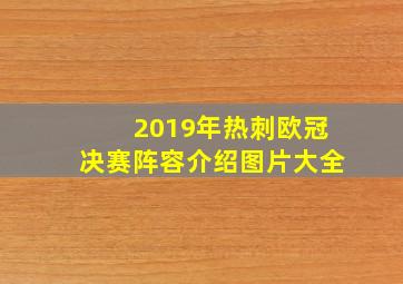 2019年热刺欧冠决赛阵容介绍图片大全