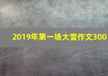 2019年第一场大雪作文300