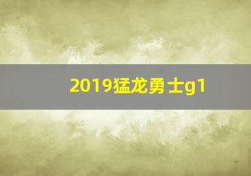 2019猛龙勇士g1