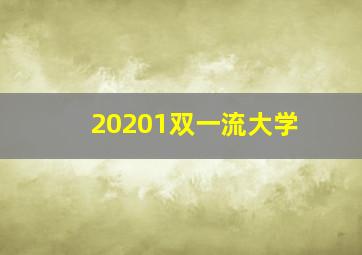 20201双一流大学