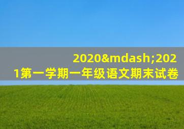 2020—2021第一学期一年级语文期末试卷