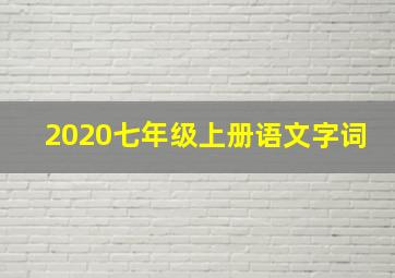 2020七年级上册语文字词