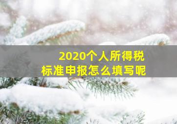 2020个人所得税标准申报怎么填写呢