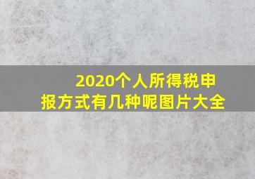 2020个人所得税申报方式有几种呢图片大全