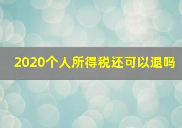 2020个人所得税还可以退吗