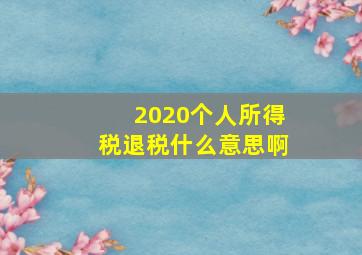 2020个人所得税退税什么意思啊