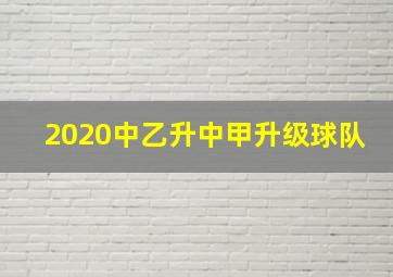 2020中乙升中甲升级球队