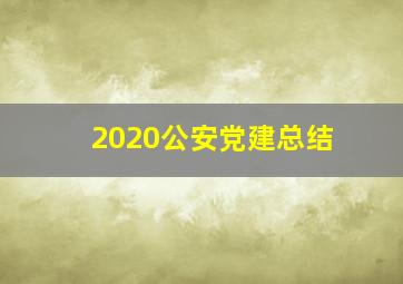 2020公安党建总结