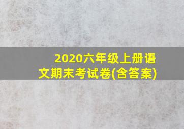 2020六年级上册语文期末考试卷(含答案)