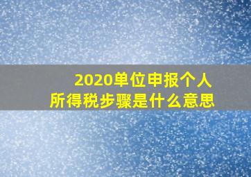 2020单位申报个人所得税步骤是什么意思