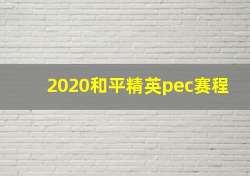 2020和平精英pec赛程