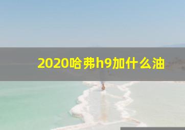 2020哈弗h9加什么油