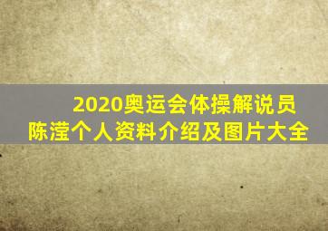 2020奥运会体操解说员陈滢个人资料介绍及图片大全