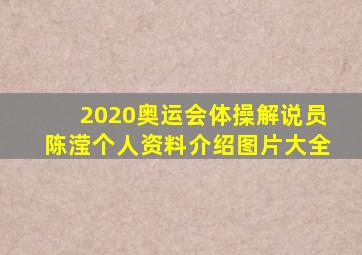 2020奥运会体操解说员陈滢个人资料介绍图片大全